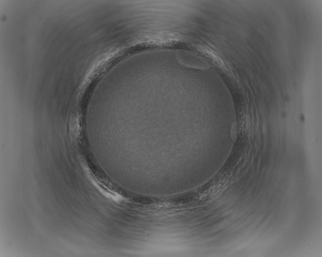 X0000068810736200605051144