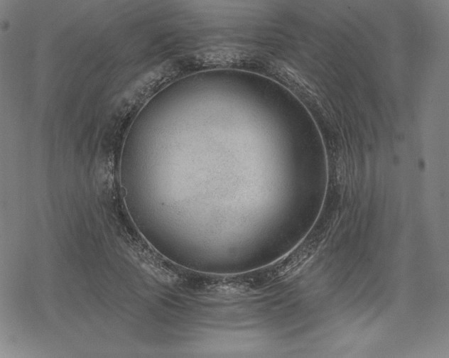 X0000068810737200605051144