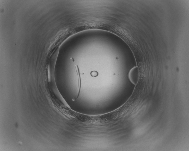 X0000068810738200605051144