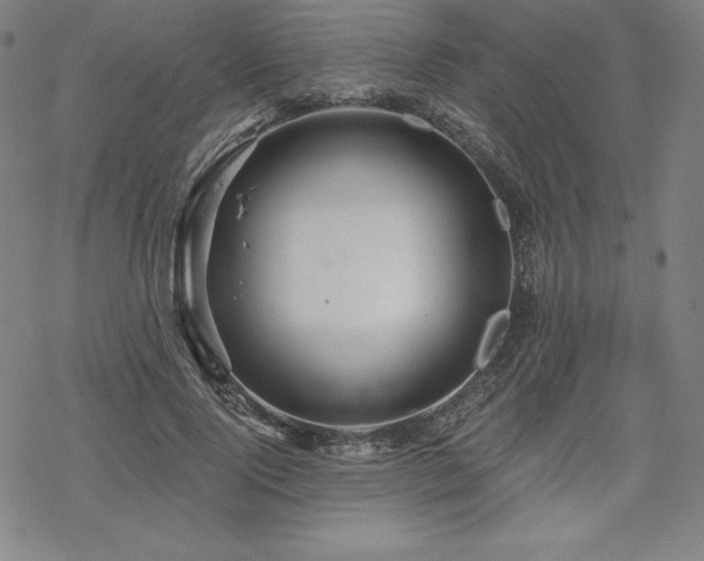 X0000068810740200605051144