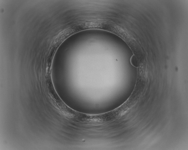 X0000068810741200605051144