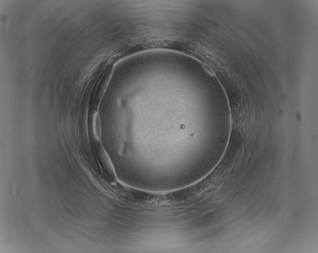 X0000068810742200605051144