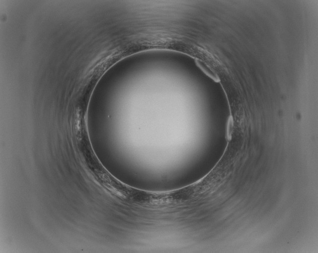 X0000068810744200605051144