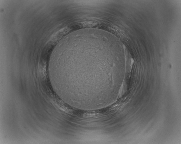 X0000068810745200605051144