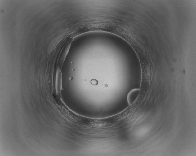 X0000068810746200605051144