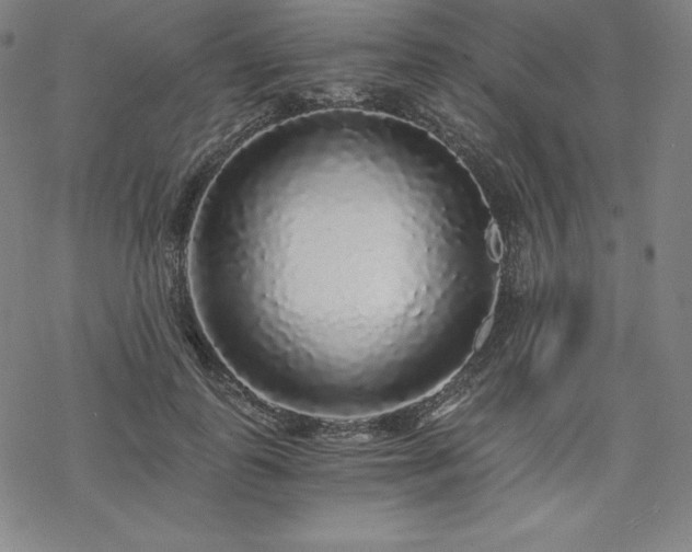 X0000068810747200605051144