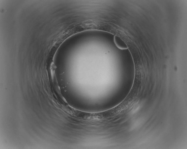 X0000068810751200605051144