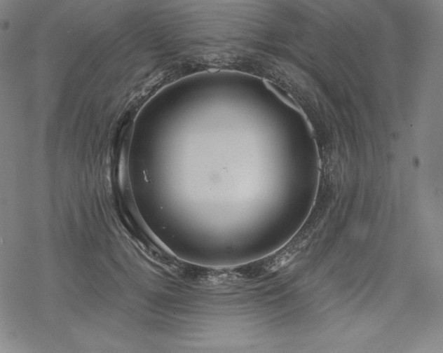 X0000068810752200605051145