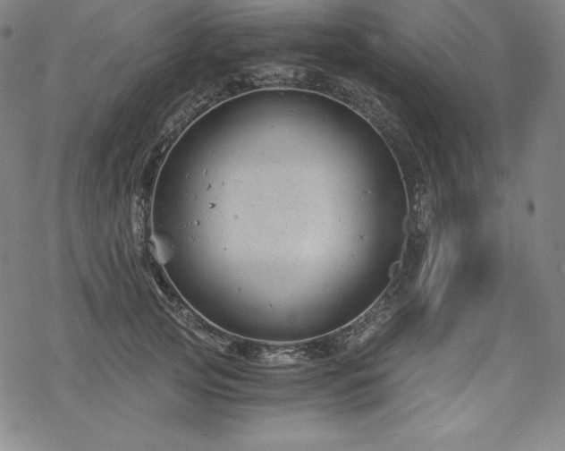 X0000068810753200605051145