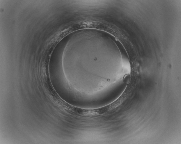 X0000068810754200605051145