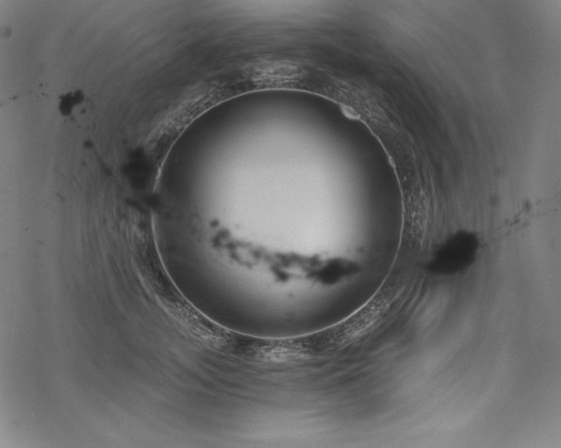 X0000068810755200605051145