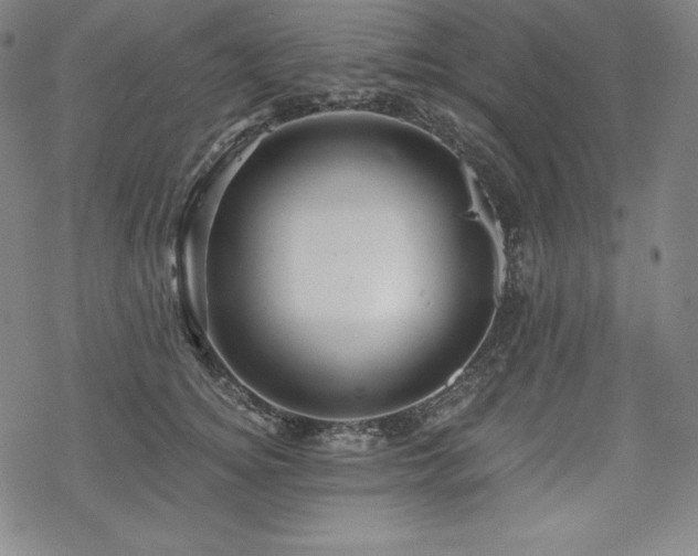 X0000068810756200605051145