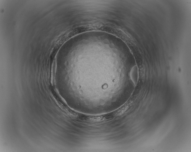 X0000068810757200605051145