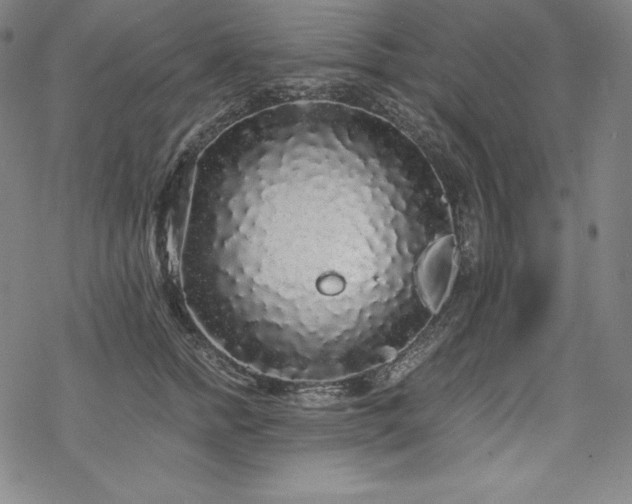 X0000068810758200605051145