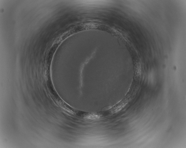 X0000068810759200605051145