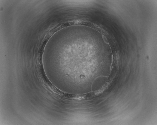 X0000068810760200605051145