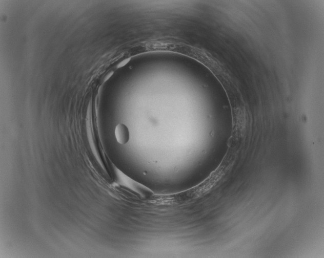 X0000068810761200605051145