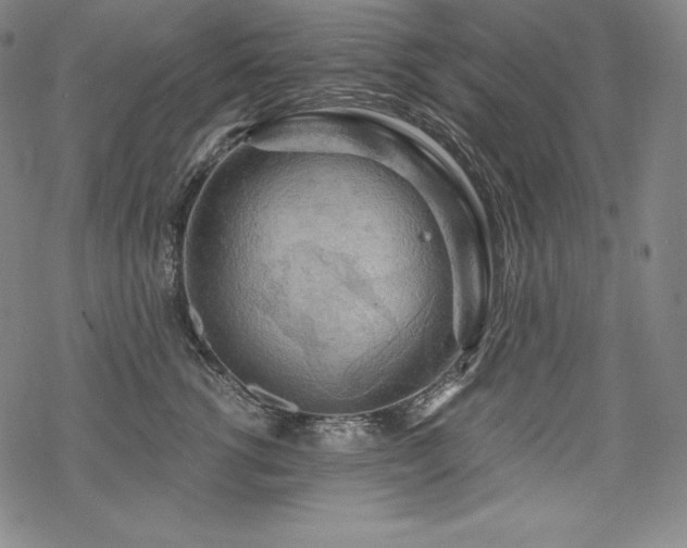 X0000068810762200605051145