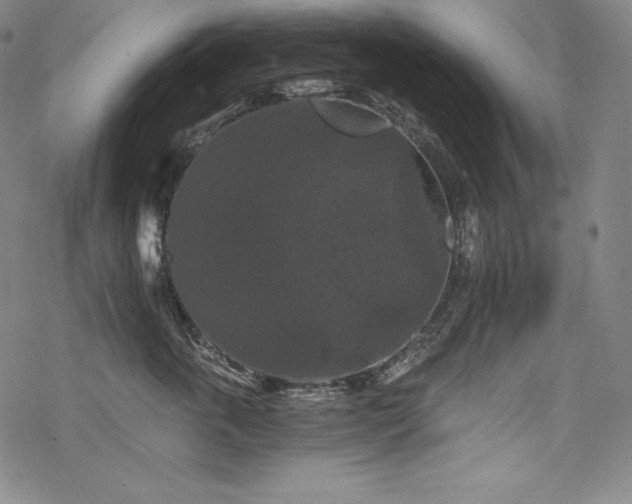 X0000068810763200605051145