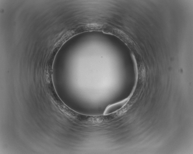 X0000068810764200605051145