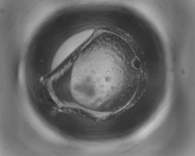 X0000068810765200605051145