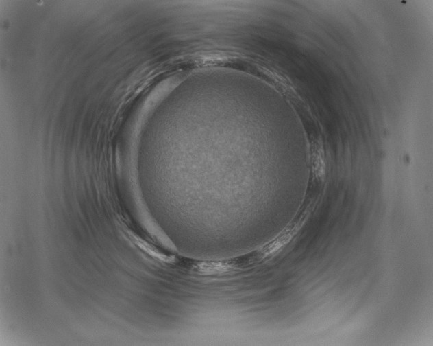 X0000068810766200605051145