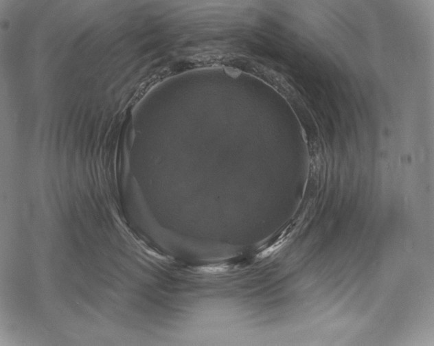 X0000068810767200605051145