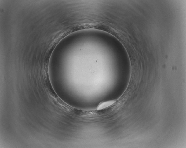 X0000068810768200605051145