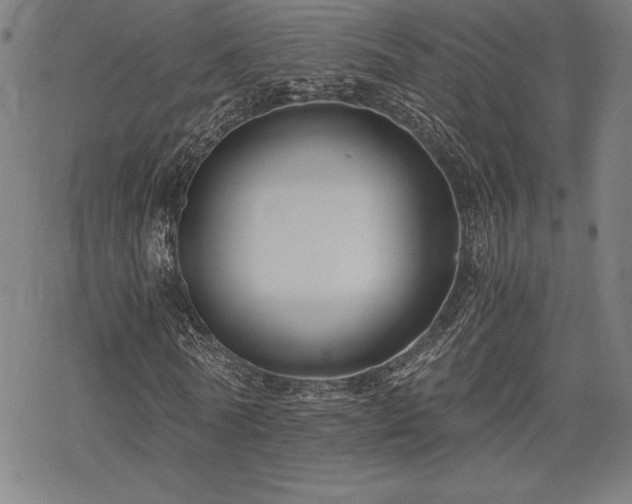 X0000068810770200605051144