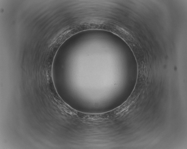 X0000068810774200605051144