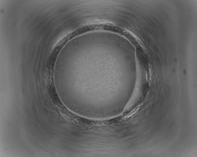 X0000068810775200605051144