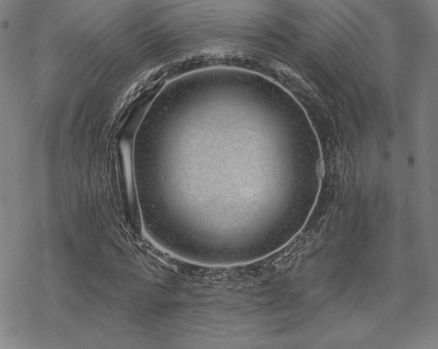 X0000068810776200605051144