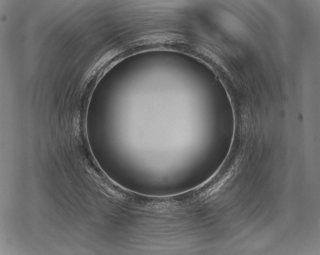 X0000068810778200605051144