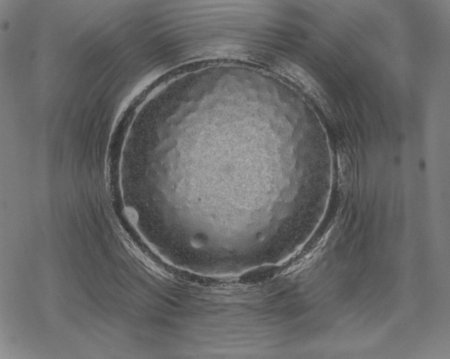 X0000068810780200605051144