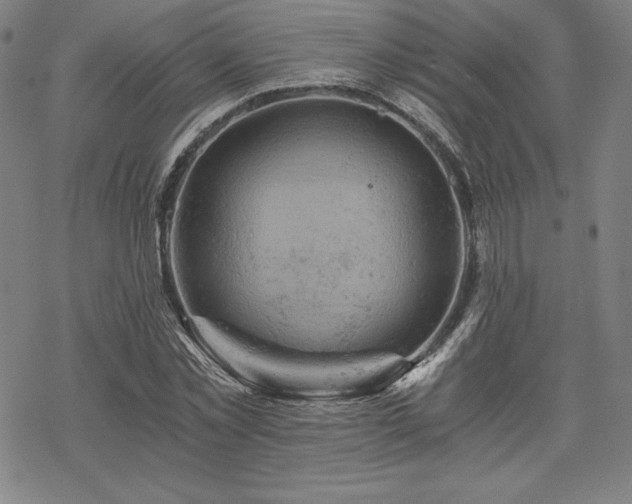 X0000068810781200605051144