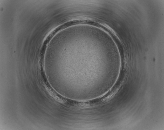 X0000068810783200605051144