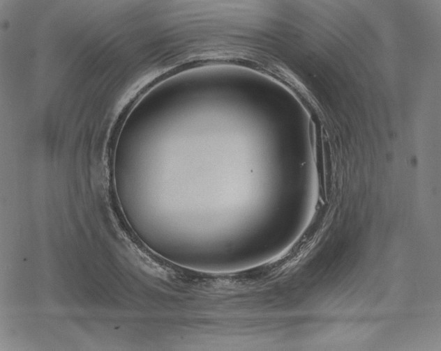 X0000068810787200605051144