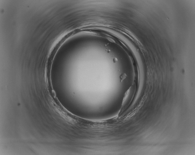 X0000068810788200605051144