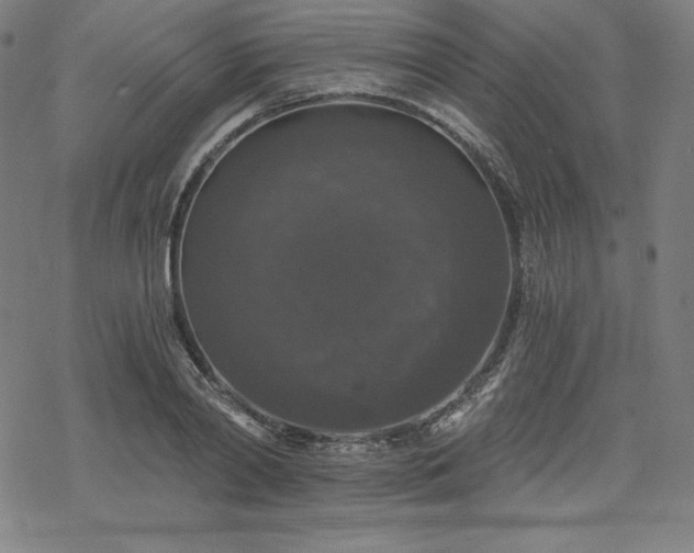 X0000068810790200605051144