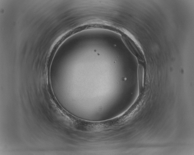 X0000068810791200605051144