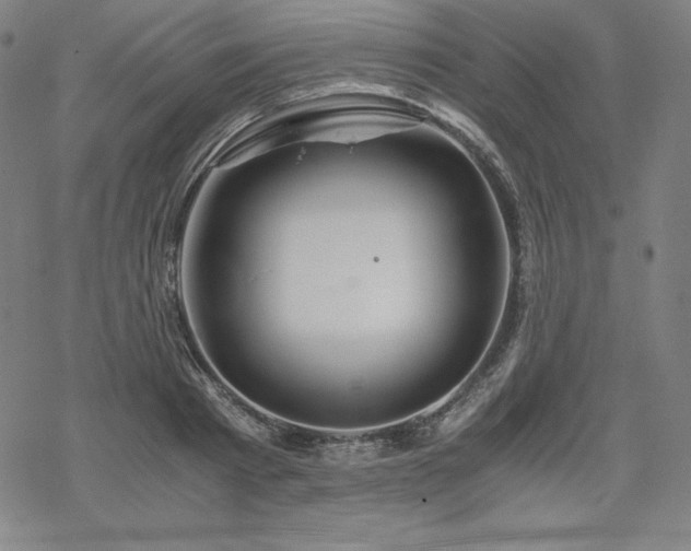 X0000068810793200605051144