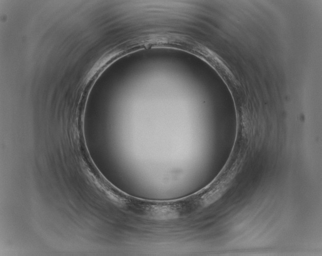 X0000068810794200605051144