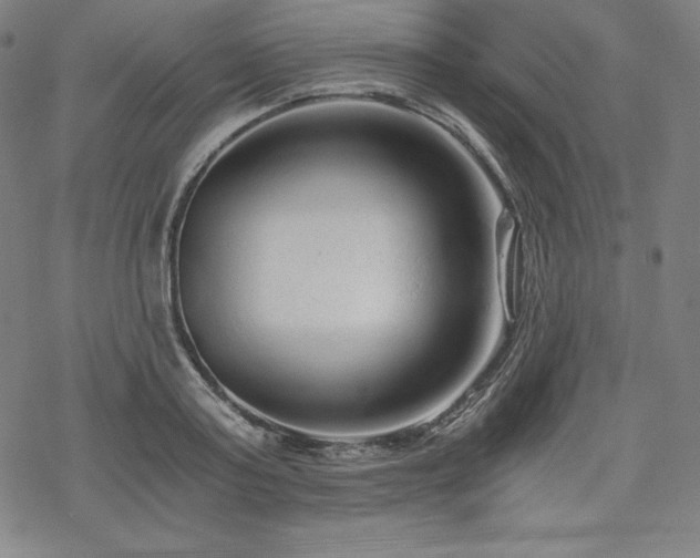 X0000068810795200605051144