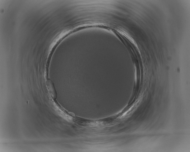 X0000068810797200605051144