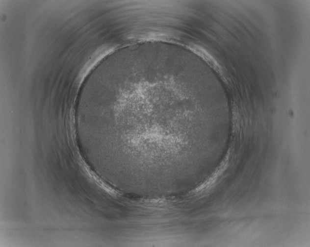 X0000068810798200605051144