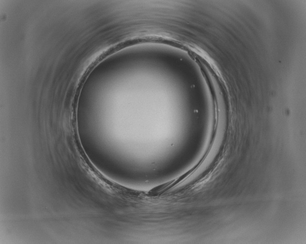 X0000068810799200605051144