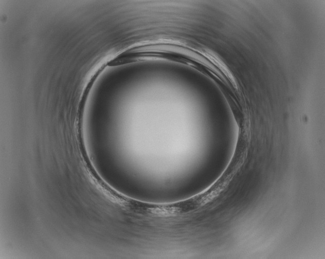 X0000068810805200605051143