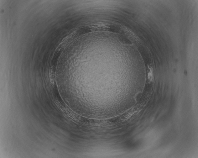 X0000068810819200605051142