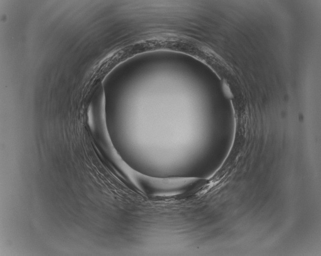 X0000068810822200605051143
