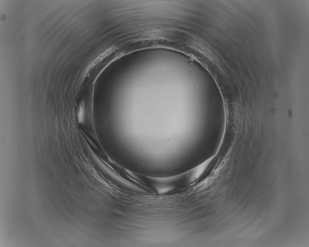 X0000068810826200605051143